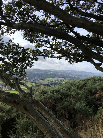 View from Castle Hill