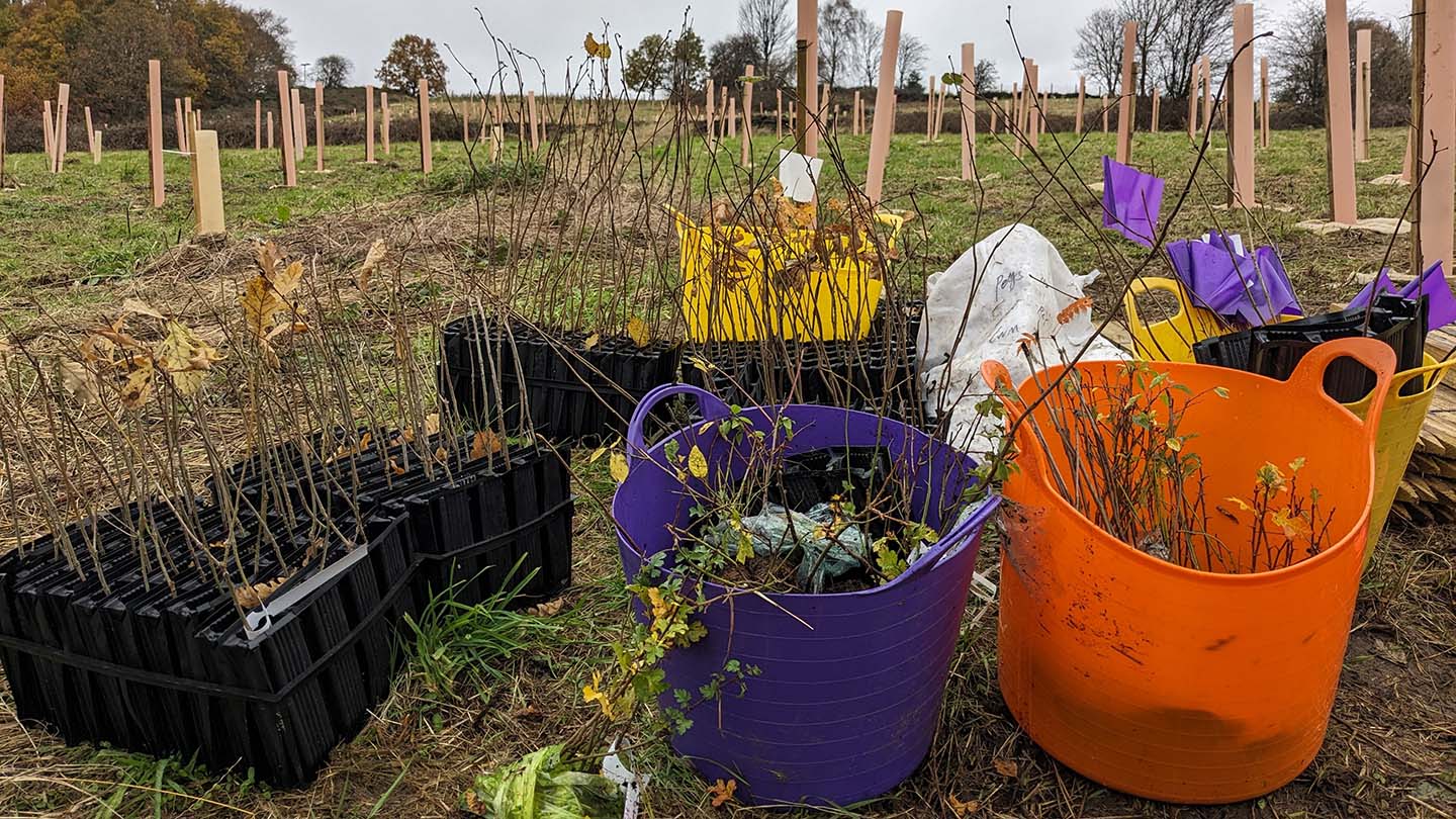 university of huddersfield tree planting initiative